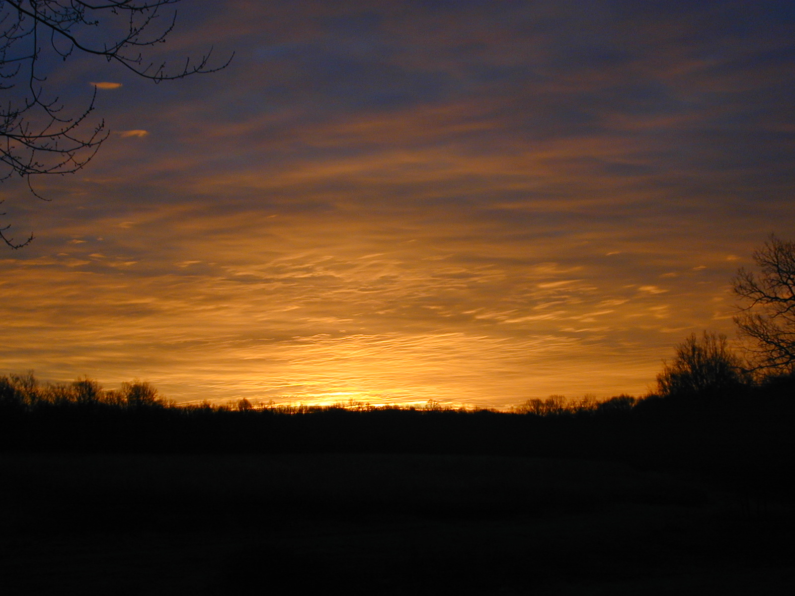 Sunrise Backyard