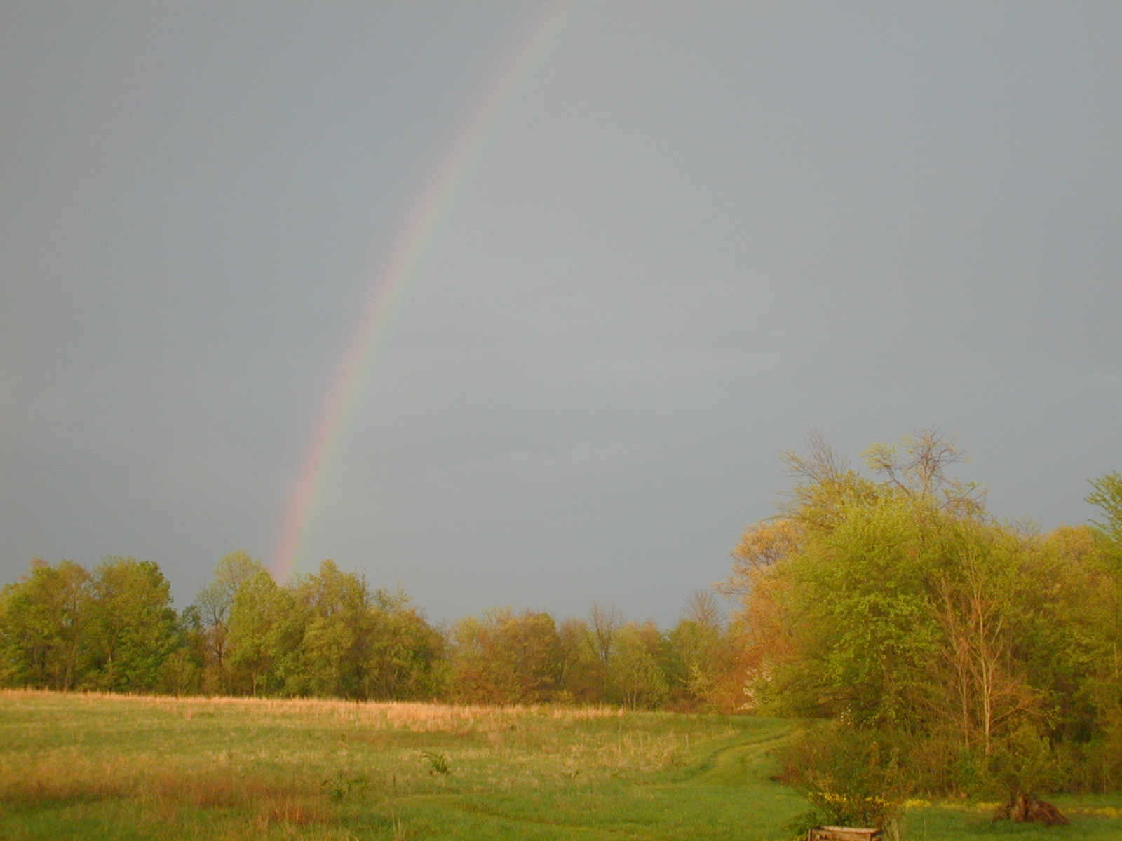 God's Promise