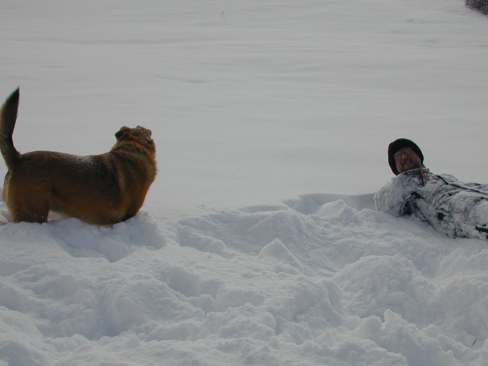 Snow fun