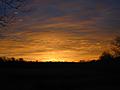 Sunrise Backyard