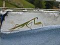 Just hanging out!