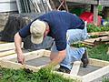 Chicken Coop in the Works