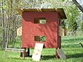 Chicken Coop Painting in Progress