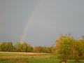 God's Promise