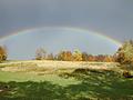 What's at the end of your rainbow?